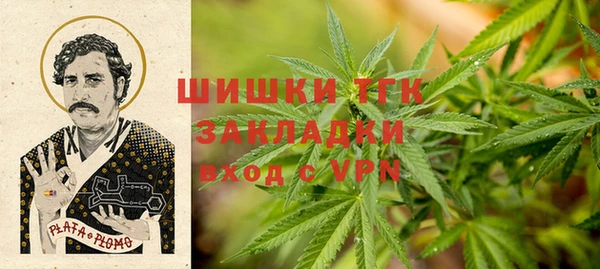 прущие грибы Абдулино