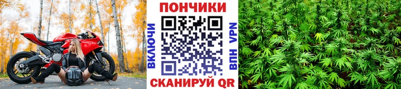 МАРИХУАНА сатива  kraken сайт  Сольцы 